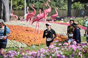 BIB: 
                            <button type="button" onclick="openModal(27793470)" class="btn btn-primary btn-sm float-right btn-popup" data-toggle="modal" data-target=".modal-high-quality">
                        <i class="fas fa-shopping-cart"></i> Add to Cart
                    </button>
                                            <button type="button" onclick="isThisMe(27793470, true)" class="btn btn-success btn-sm float-right btn-popup btn-isme hidden" data-toggle="tooltip" data-placement="bottom" title="นี่คือรูปของคุณใช่ไหม คลิกที่นี่เพื่อเอาเข้าอัลบั้ม">
                        <i class="fas fa-plus"></i> Add to album
                    </button>
                    <button type="button" onclick="isThisMe(27793470, false)" class="btn btn-warning btn-sm float-right btn-popup btn-isnotme hidden">
                        <i class="fas fa-ban"></i> Remove from album
                    </button>